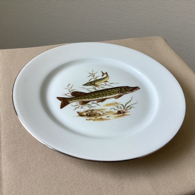 Assiette En Porcelaine De Limoges Décors Poissons D'eau Douce