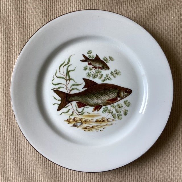 Assiette En Porcelaine De Limoges Décors Poissons D'eau Douce