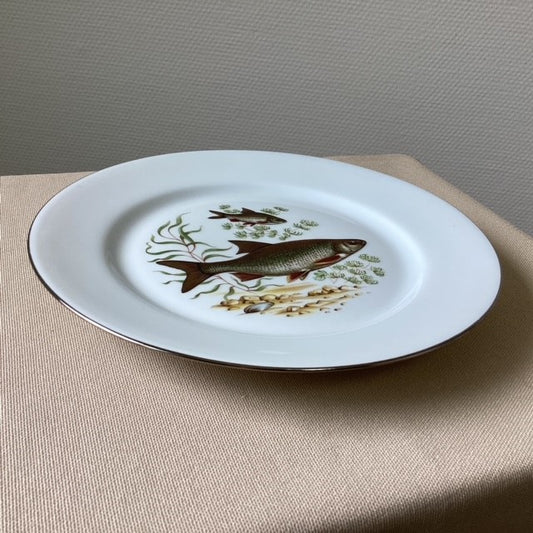 Assiette En Porcelaine De Limoges Décors Poissons D'eau Douce