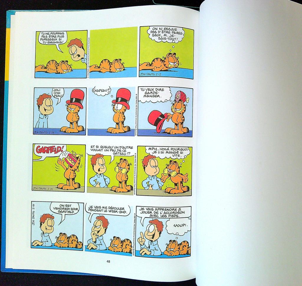 Bd Garfield – Jim Davis – Livres enfants – Se jette à l'eau