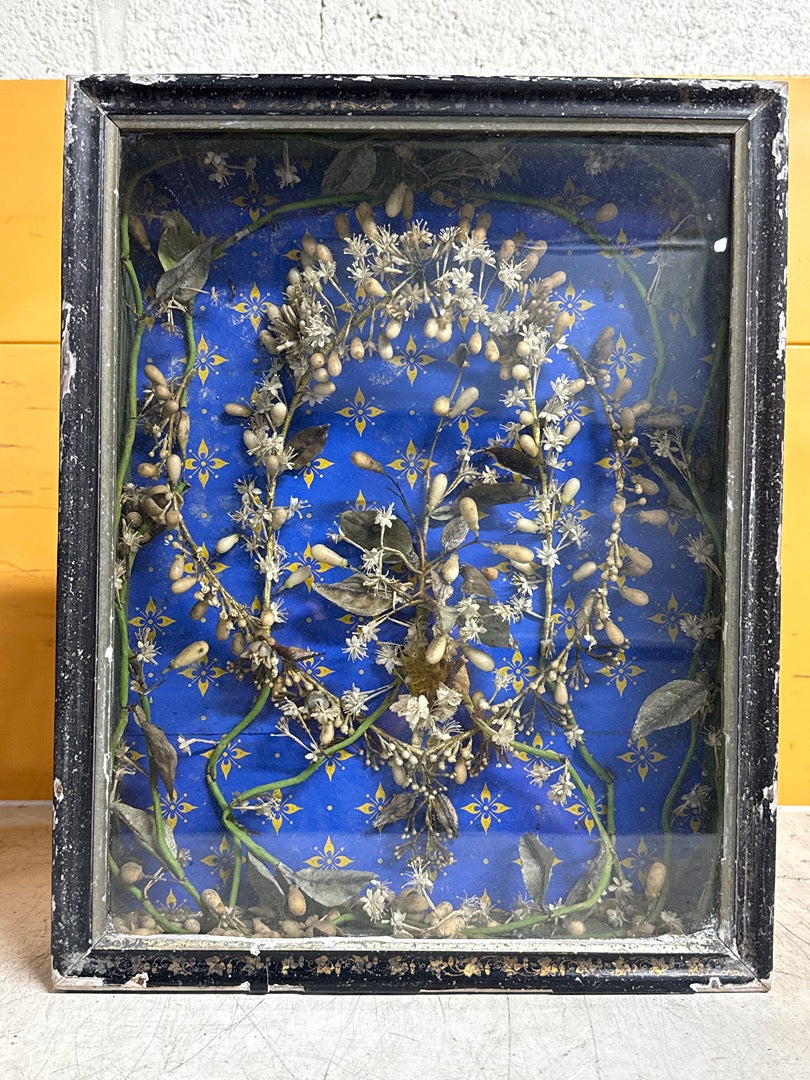 Cadre ancien – Herbier artificiel sous verre