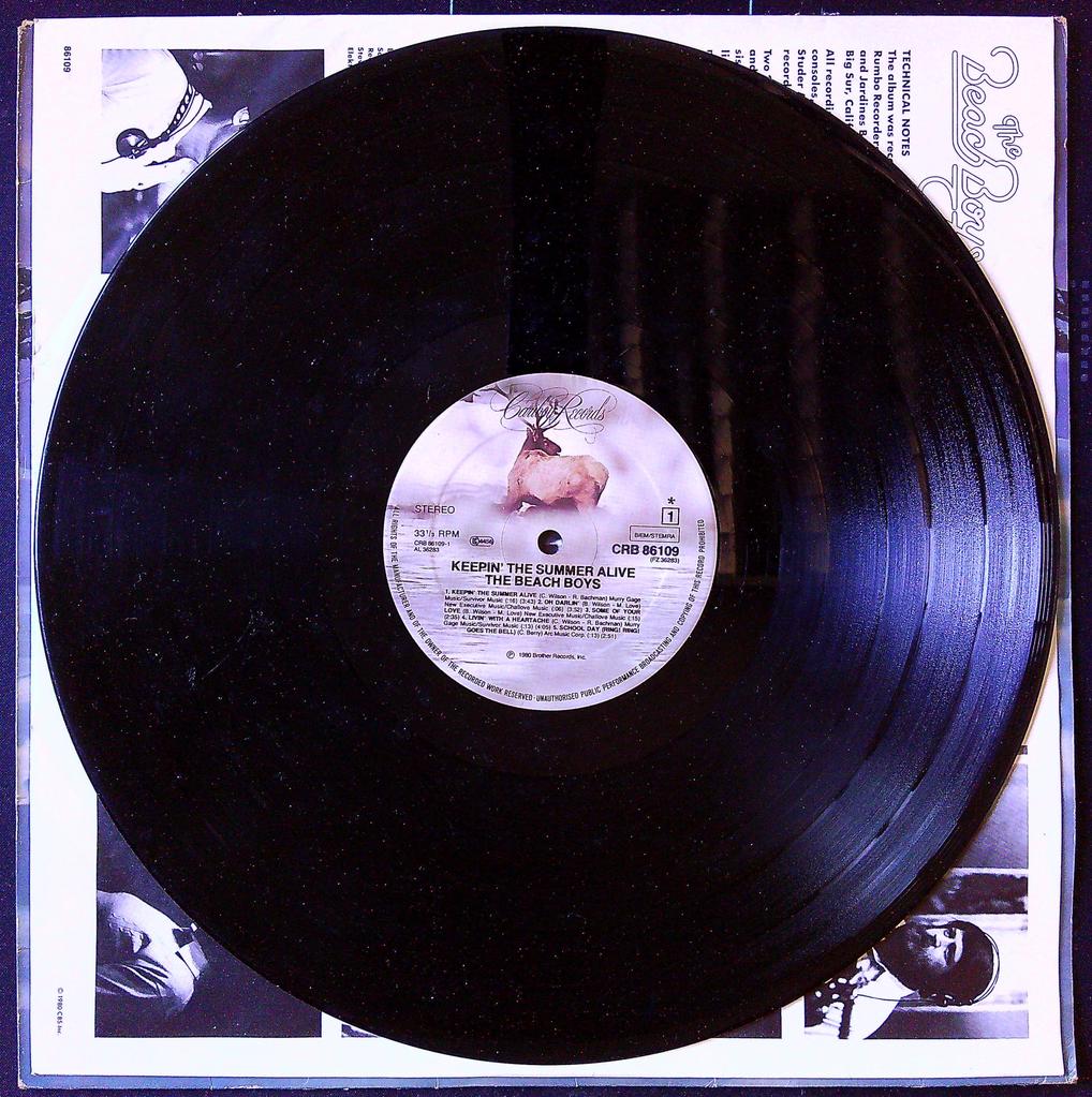 Vinyle The Beach Boys Keepin The Summer Alive Cbs