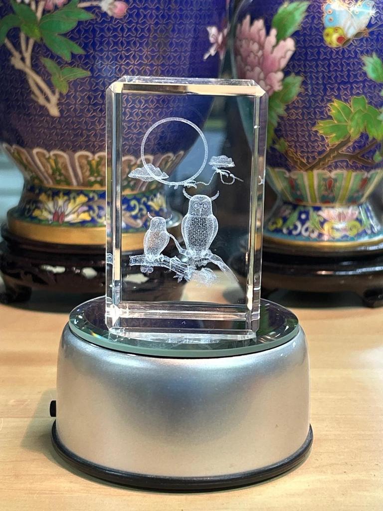 Bloc de verre lumineux représentant des hiboux