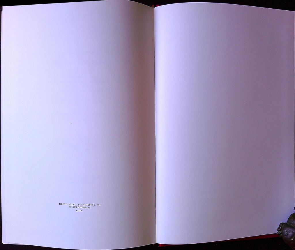 Livre Jules Verne – Les Indes Noires – Roman – Collection