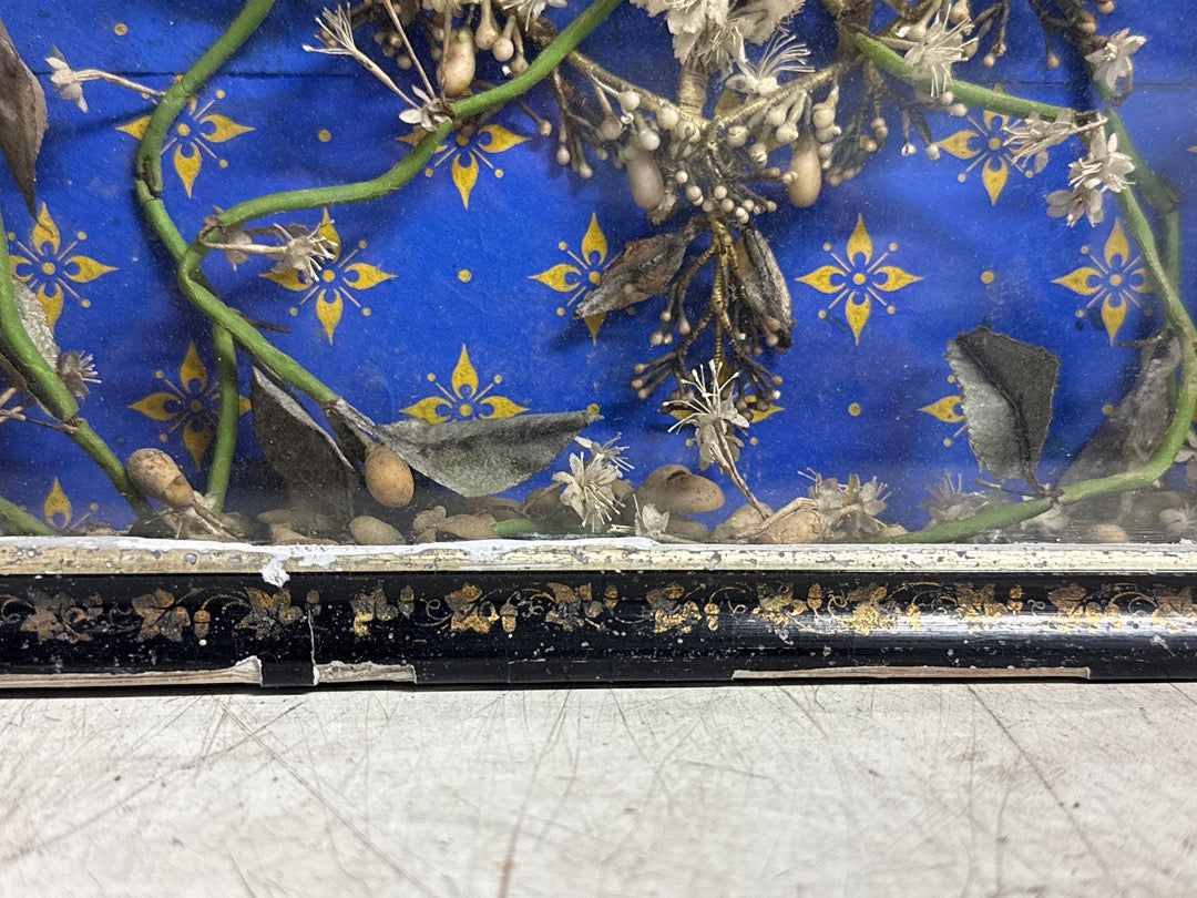 Cadre ancien – Herbier artificiel sous verre