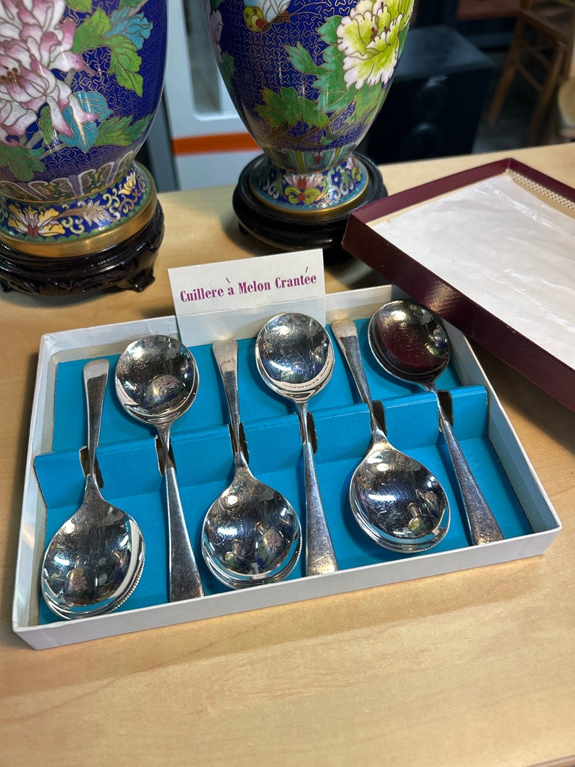 Couverts – Coffret de 6 cuillères à melon vintage