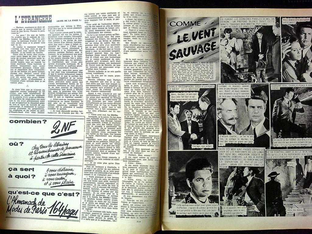 Magazine – Festival N°43 – Cinéma – Brigitte Bardot