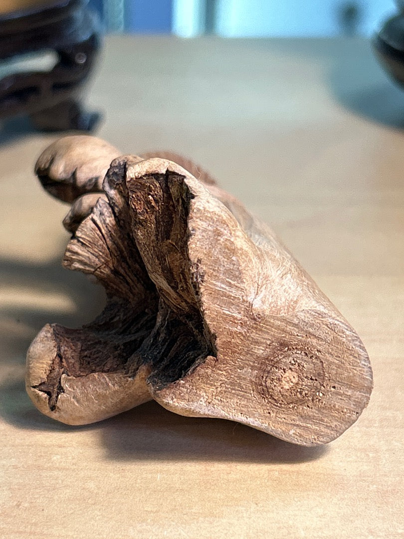 Figurine Chouette / Hibou Bois Sculpte