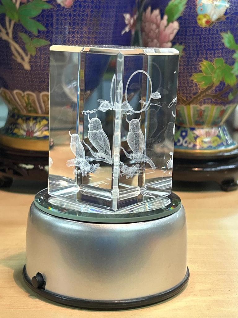 Bloc de verre lumineux représentant des hiboux