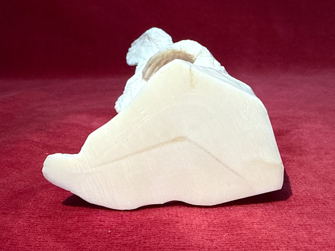 Sculpture oiseaux en Os Lechat 2013