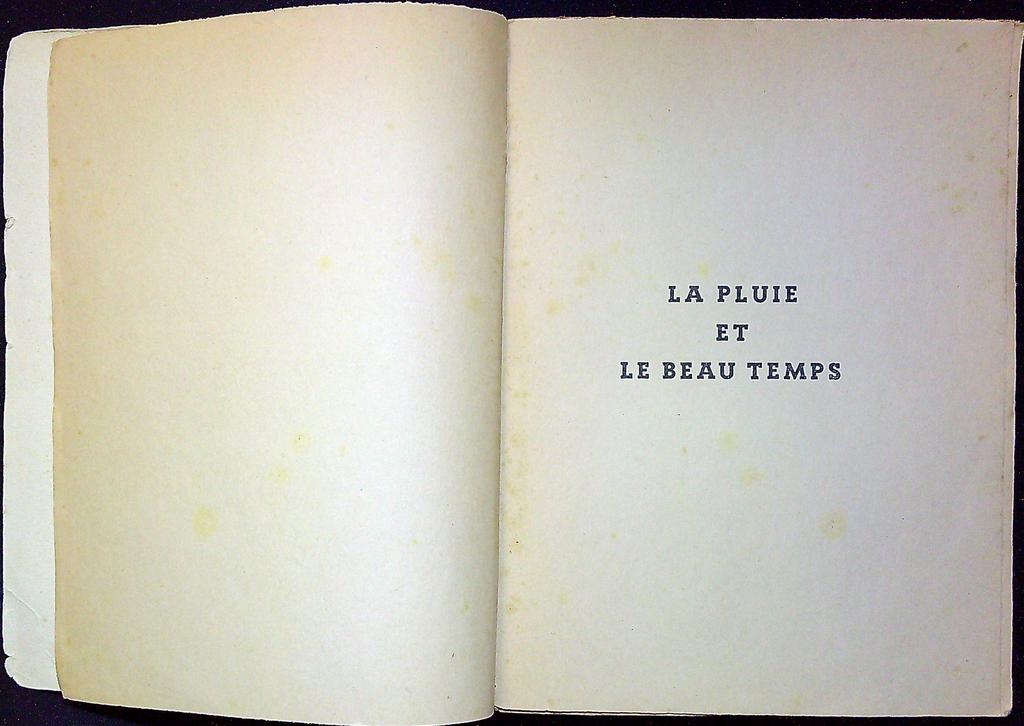 Livre – Gallimard – Littérature – La Pluie et le Beau Temps