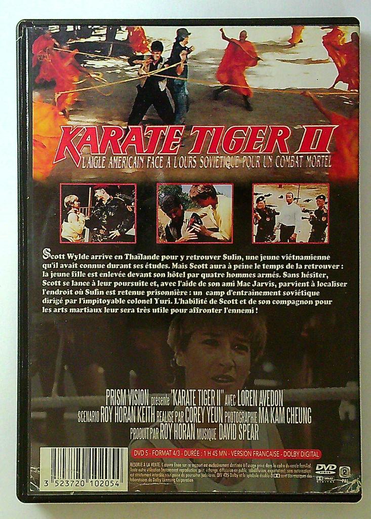 Dvd Karate Tiger Ii La Contre Attaque Cynthia Rothrock