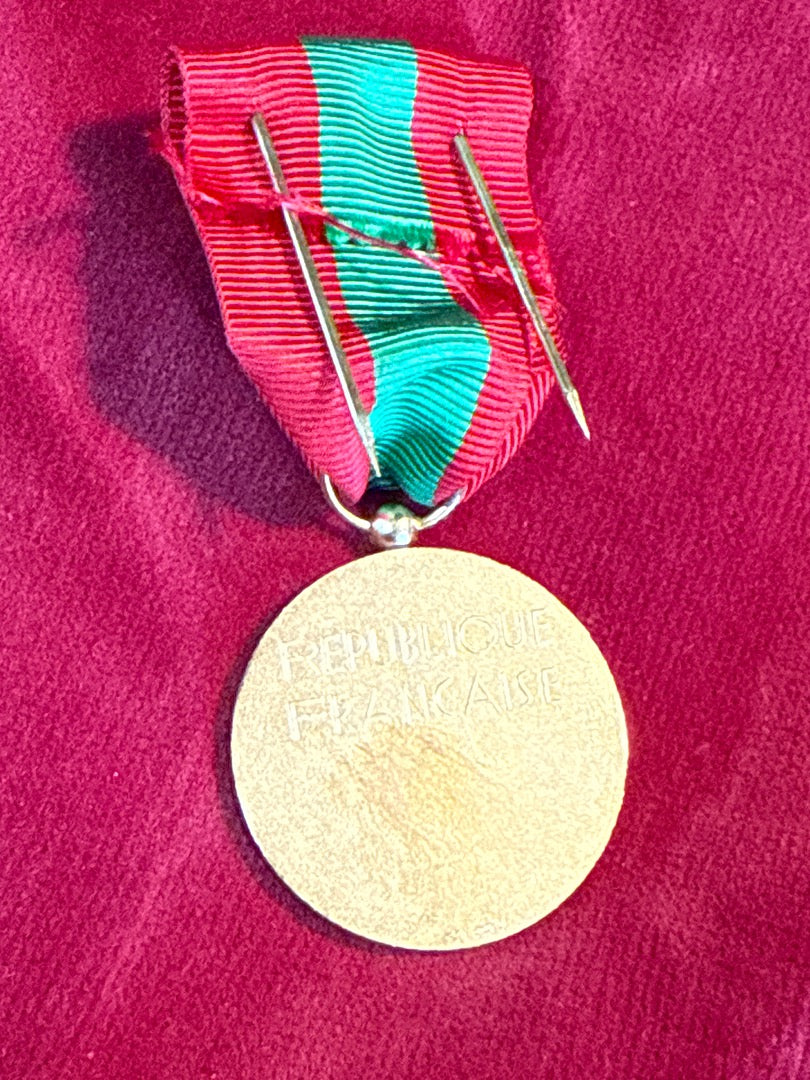 Médaille – Famille Française – Collection – Métal doré et ruban