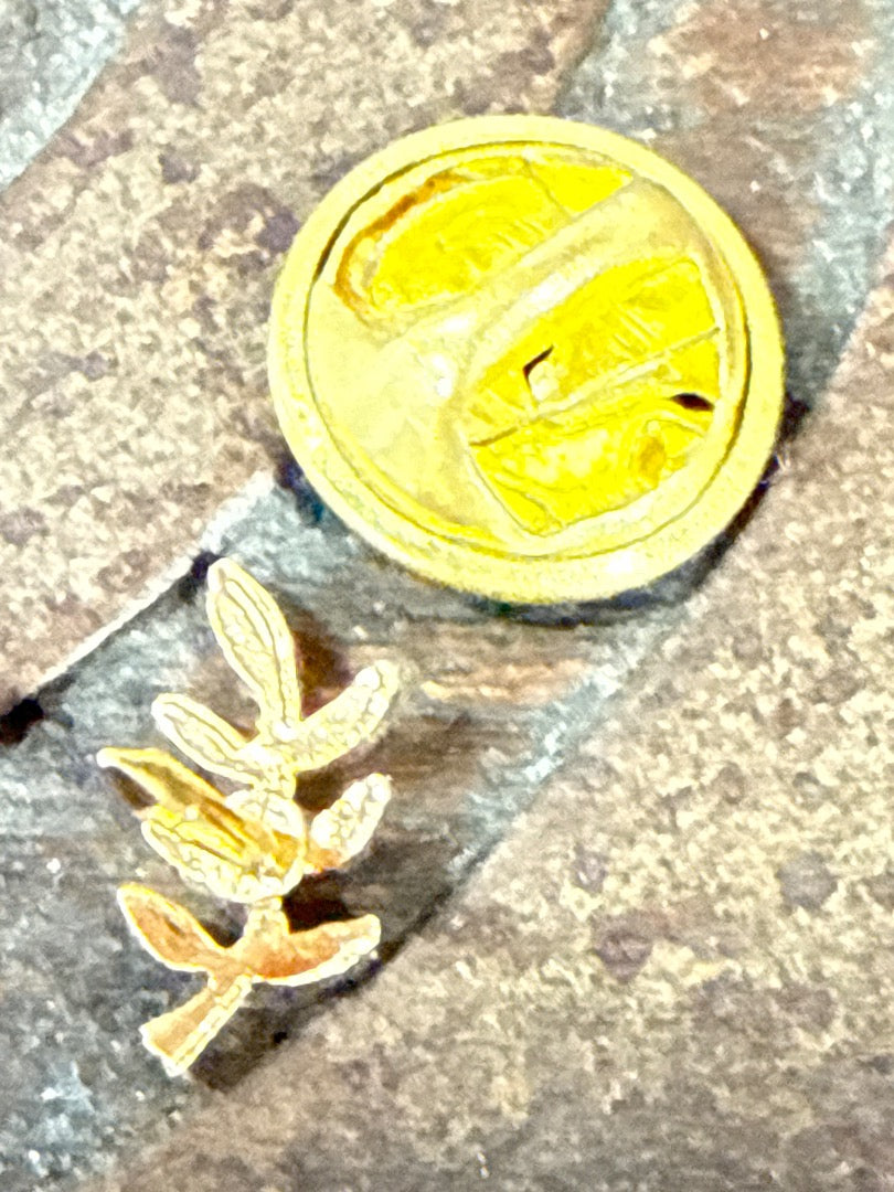 Broche pin's – Vintage – Bijoux – Branche d'acacias dorée Franc Maçon