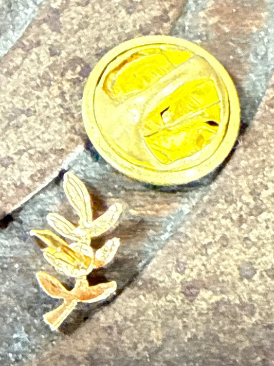 Broche pin's – Vintage – Bijoux – Branche d'acacias dorée Franc Maçon