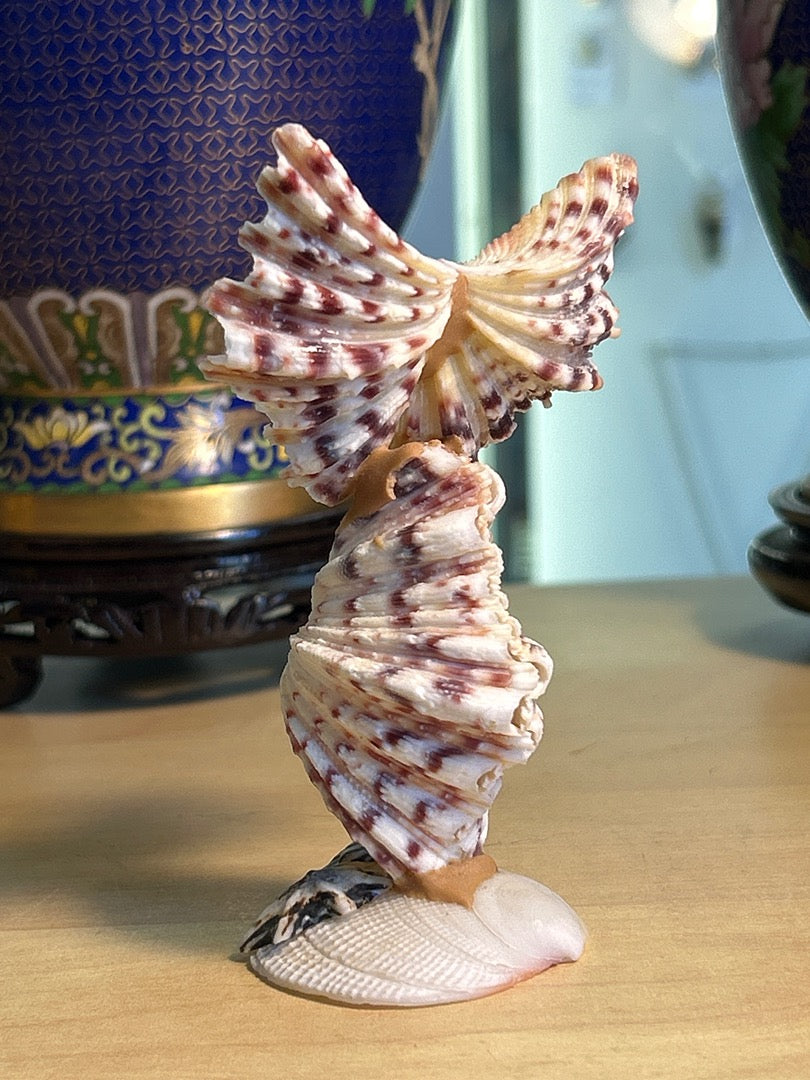 Figurine Chouette / Hibou coquillages