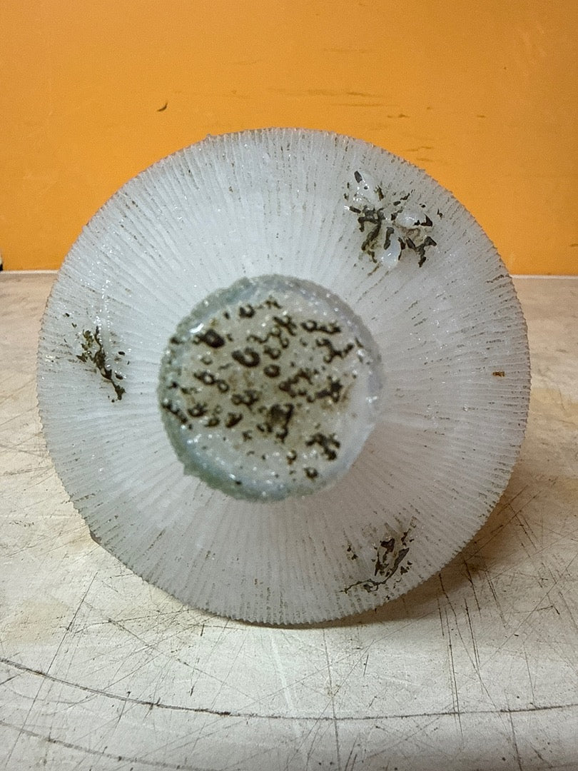 Bonbonnière Vallerysthal – Ruche en verre