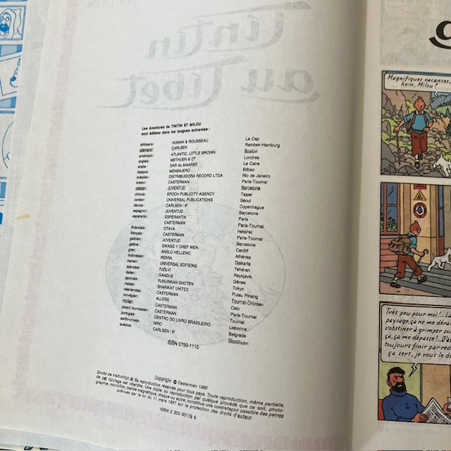 Bande Dessinée Tintin Au Tibet