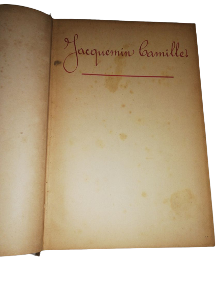 Ancien Livre Du Prêtre Jacquemin Camille 1897 Dr J. H. Kellogg Hygiène Populaire Et Moniteur De La Santé