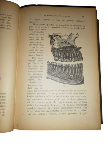 Ancien Livre Du Prêtre Jacquemin Camille 1897 Dr J. H. Kellogg Hygiène Populaire Et Moniteur De La Santé