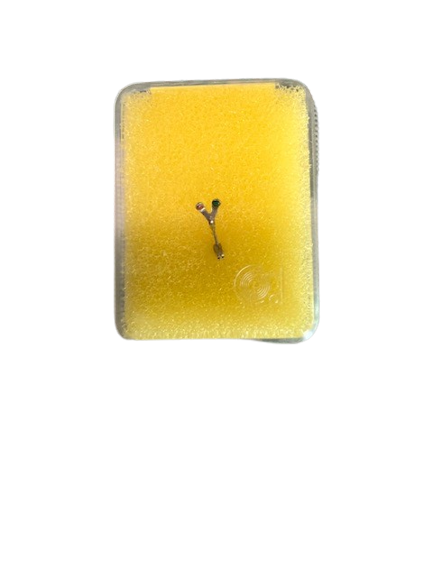 Saphir Philips AG 3052 , 5001 Double 16 , 2/3, 33 , 1/3 , 45
