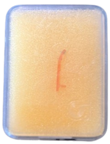 Saphir Dual DN1 Duplo 16 33 45 78 Tours  Needle