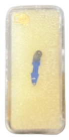 Saphir Dual DN2 LP Standard   Needle 
