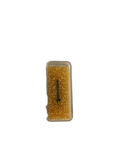 Saphir Goldring MX1 Needle