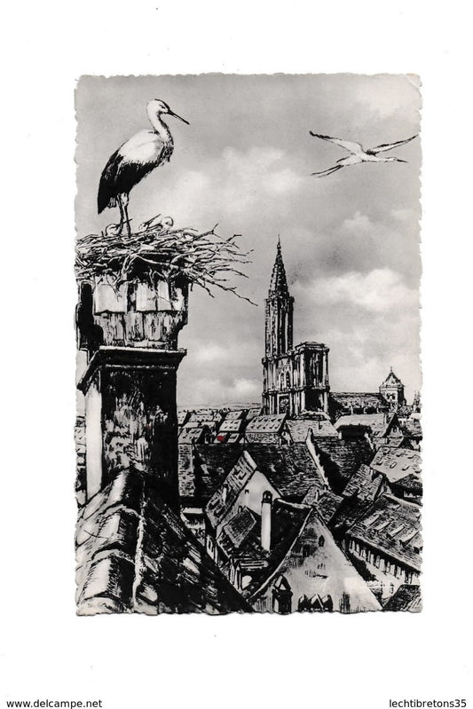 Carte postale -67.999.33 nid de cigognes
