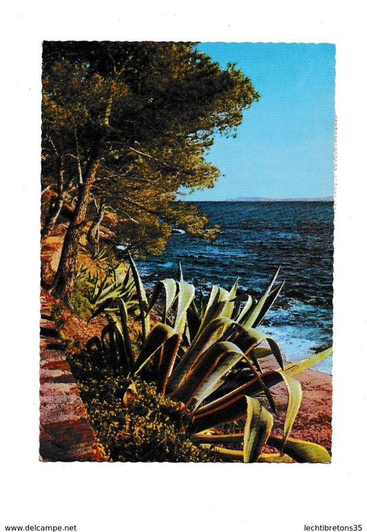 Carte postale -reflets de la cote d'azur 1-17 rivages méditerranéens