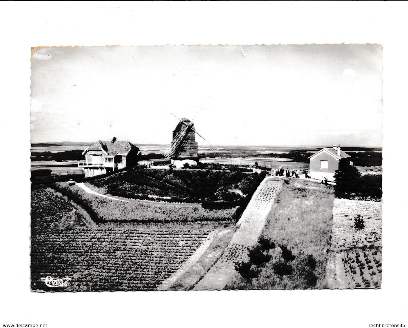 Carte postale - Mailly champagne 312-26 le moulin historique