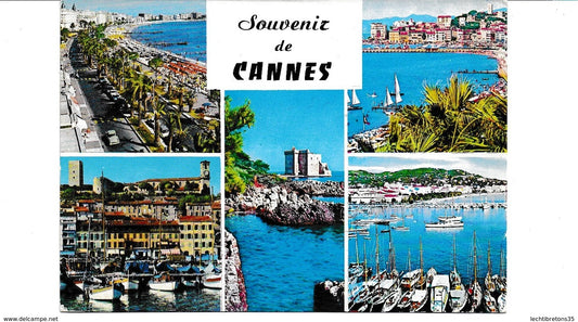 Carte postale - 167 SOUVENIR DE CANNES