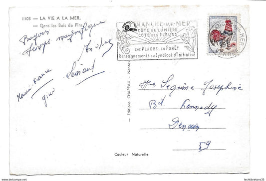 Carte postale -1103 VIE A LA MER BOIS DE PINS DAVRAY