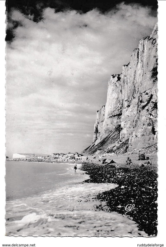 Carte postale - le tréport la plage et les falaises 57