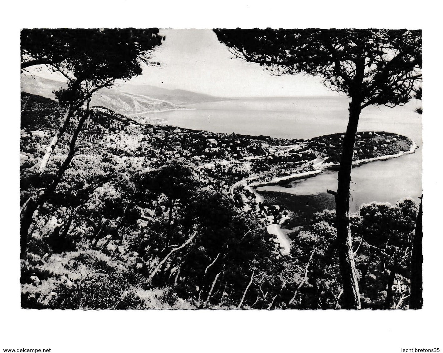 Carte postale - MENTON 122 VUE SUR LE CAP MARTIN ET L' ITALIE