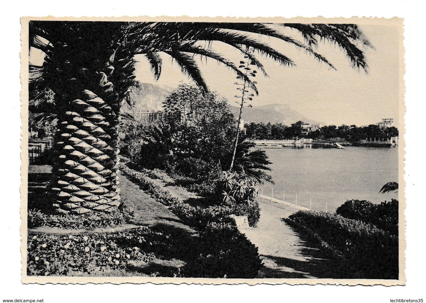 Carte postale - BEAULIEU sur mer COTE D'AZUR COLLECTION ECLECTA JARDINS